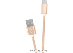 Кабель Hoco X2 Type-C