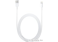 Кабель Apple Lightning/USB MD819
