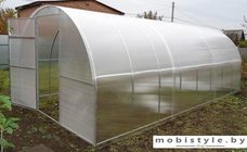 Теплица Сэлмакс Групп ПК АгроМастер 4 мм 8 м