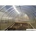 Теплица Сэлмакс Групп ПК АгроМастер 4 мм 8 м
