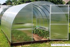 Теплица Сэлмакс Групп ПК Агроном Хит 4 мм 4 м