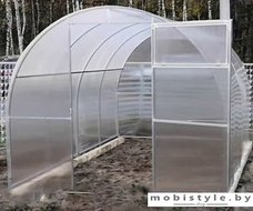 Теплица Сэлмакс Групп ПК Агроном Классик 4 мм 6 м