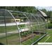 Теплица Сэлмакс Групп ПК Агроном Компакт 2 м 4 мм 6 м