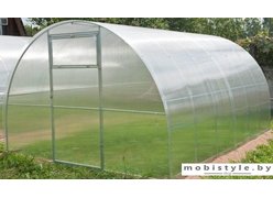 Теплица Сэлмакс Групп ПК АгрономПростор 40 4 мм 10 м