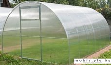 Теплица Сэлмакс Групп ПК АгрономПростор 40 4 мм 8 м