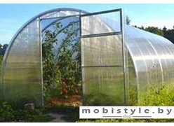 Теплица Сэлмакс Групп ПК АгрономСила 4 мм 10 м
