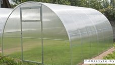 Теплица Сэлмакс Групп ПК Агросила 3.3 м 3 мм 10 м