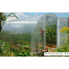 Теплица Сэлмакс Групп ПК Старт-Хит 3 мм 6 м