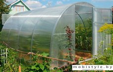 Теплица Сэлмакс Групп ПК Старт-Хит 4 мм 10 м