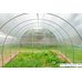 Теплица Сэлмакс Групп ПК Старт-Хит 4 мм 10 м