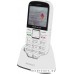 Мобильный телефон Maxvi B5 (белый)