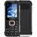 Мобильный телефон Maxvi T2 (черный)