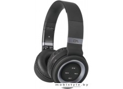 Наушники Delicate-Amazing DM0009 (черный/серебристый)