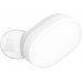Наушники Xiaomi AirDots Youth Edition TWSEJ02LM