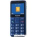 Мобильный телефон Panasonic KX-TU150RU (синий)