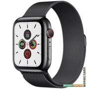 Умные часы Apple Watch Series 5 LTE 44 мм (сталь черный/миланский черный)