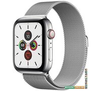 Умные часы Apple Watch Series 5 LTE 44 мм (серебристый/миланский серебристый)