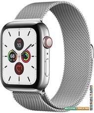 Умные часы Apple Watch Series 5 LTE 44 мм (серебристый/миланский серебристый)