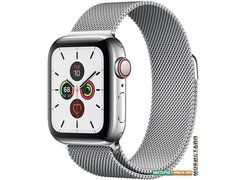 Умные часы Apple Watch Series 5 LTE 40 мм (серебристый/миланский серебристый)