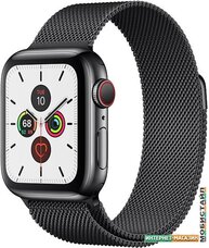 Умные часы Apple Watch Series 5 LTE 40 мм (сталь черный/миланский черный)