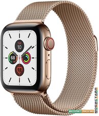 Умные часы Apple Watch Series 5 LTE 40 мм (сталь золотистый/миланский золотой)