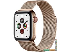 Умные часы Apple Watch Series 5 LTE 40 мм (сталь золотистый/миланский золотой)