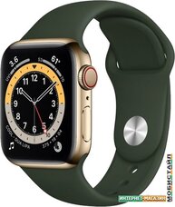 Умные часы Apple Watch Series 6 LTE 40 мм (сталь золотистый/зеленый спортивный)