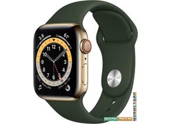 Умные часы Apple Watch Series 6 LTE 40 мм (сталь золотистый/зеленый спортивный)