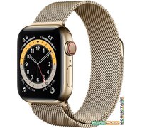 Умные часы Apple Watch Series 6 LTE 40 мм (сталь золотистый/миланский золотой)