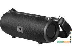 Беспроводная колонка Defender Enjoy S900 (черный)