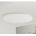 Люстра-тарелка Yeelight Celling Light YLXD04YL