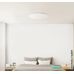 Люстра-тарелка Yeelight Celling Light YLXD04YL