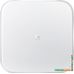 Напольные весы Xiaomi Mi Smart Scale