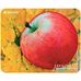 Коврик для мыши Defender Juicy Sticker (50412)