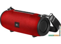 Беспроводная колонка Defender Enjoy S900 (красный)
