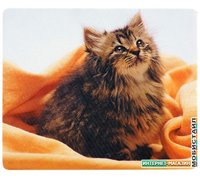 Коврик для мыши Defender Silk (50706)