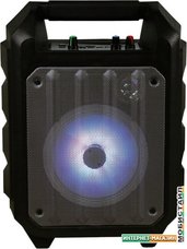 Беспроводная колонка Omega Party