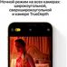 Смартфон Apple iPhone 12 Pro Max 256GB (графитовый)