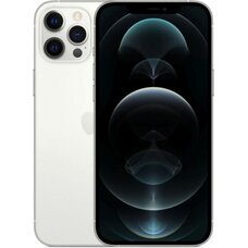 Смартфон Apple iPhone 12 Pro Max 256GB (серебристый)
