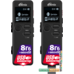 Диктофон Ritmix RR-610 4Gb