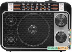 Радиоприемник Ritmix RPR-171