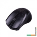 Мышь Ritmix RMW-560 (черный)