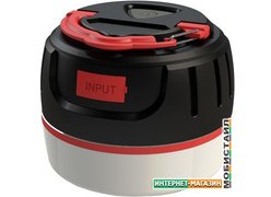 Портативное зарядное устройство Ritmix RPB-5800LT (черный)