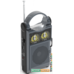 Радиоприемник Ritmix RPR-333 (черный)