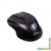Мышь Ritmix RMW-560 (черный)