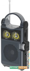 Радиоприемник Ritmix RPR-333 (черный)