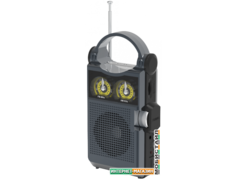 Радиоприемник Ritmix RPR-333 (черный)