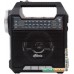 Радиоприемник Ritmix RPR-444