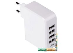 Сетевое зарядное Ritmix RM-450