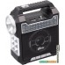 Радиоприемник Ritmix RPR-444